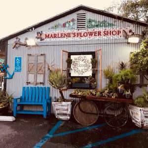 Meet your Posher, Marlene